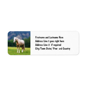 Étiquette Cheval rêveur de palomino