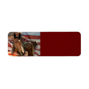 Étiquette Cheval Rustic Barne drapeau américain