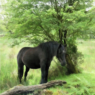 ÉTIQUETTE CHEVAUX