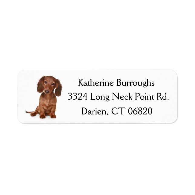 Étiquette Chien chiot Brown Dachshund Personnalisé (Devant)