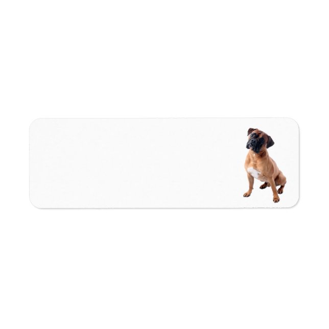 Étiquette Chien de boîte 2 (Devant)