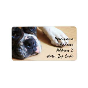 Étiquette Chien de boxe
