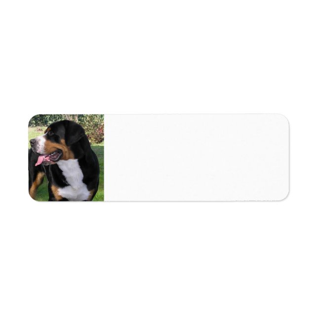 Étiquette chien de montagne suisse (Devant)