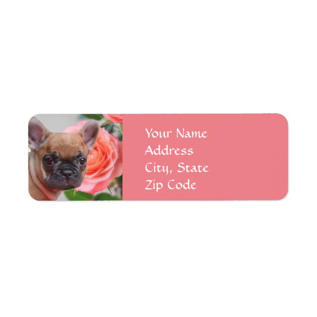 Étiquette Chien-taureaux français rose (Devant)