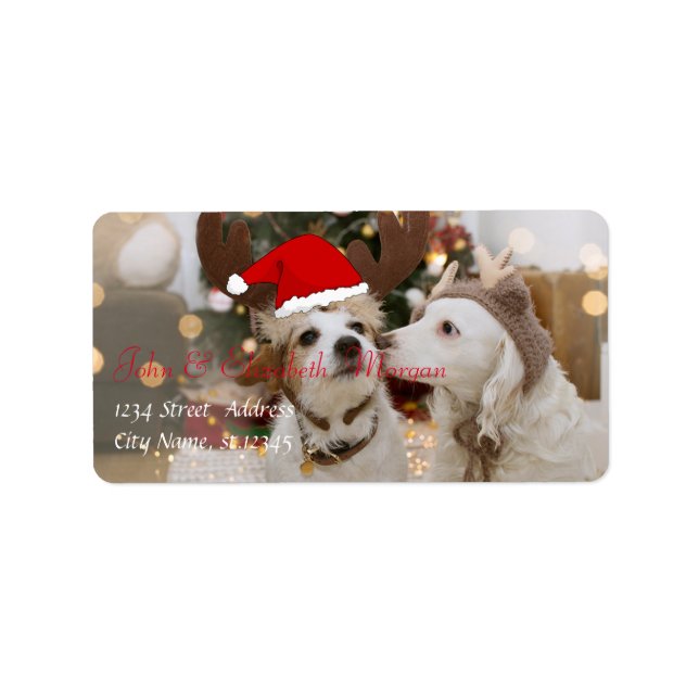 Étiquette Chiens adorables avec chapeau de Père Noël (Devant)