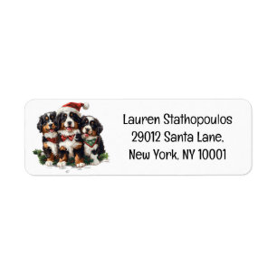 Étiquette Chiens de montagne bernois de Noël