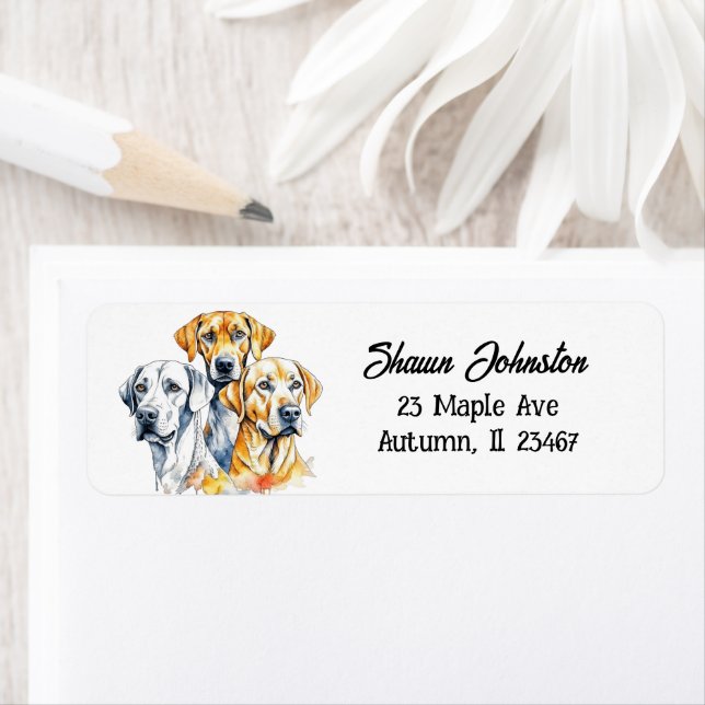 Étiquette Chiens du Labrador (En situation)