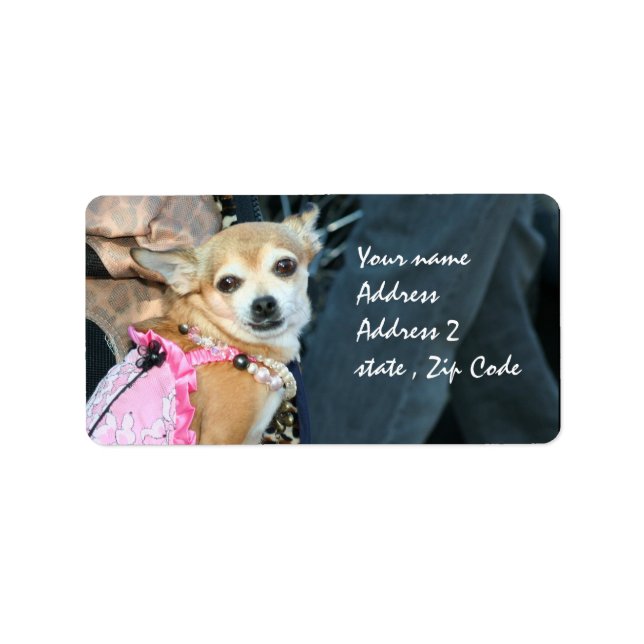 Étiquette Chihuahua (Devant)