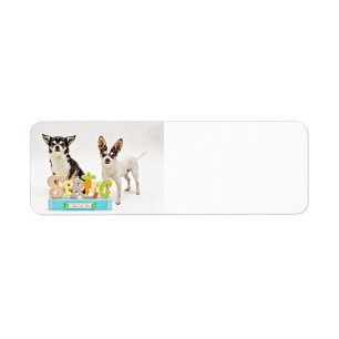 Étiquette Chihuahua du printemps