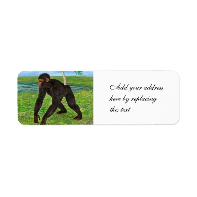 Étiquette Chimpanzé (Devant)