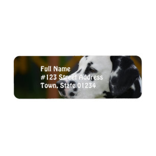 Étiquette Chiot dalmatien mignon