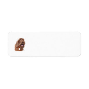 Étiquette Chocolat Labradoodle
