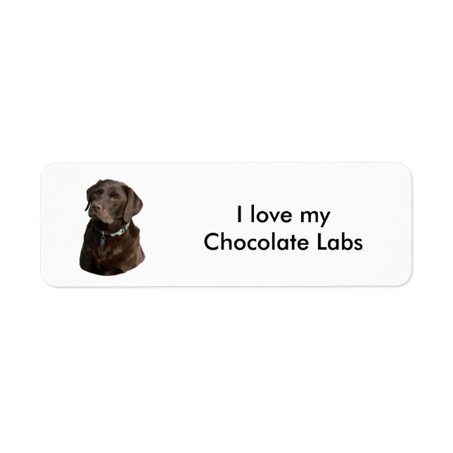 Étiquette Chocolate Labrador dog photo (Devant)