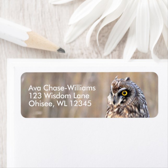 Étiquette Chouette à courte portée dans les marais (En situation)