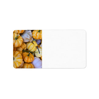 Étiquette Citrouilles et gourdes