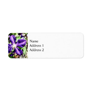 Étiquette Clematis sur un mur de pierre