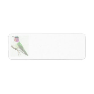 Étiquette coloré de dessin de colibri