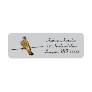 Étiquette Colorful Kestrel on a Powerline Return 