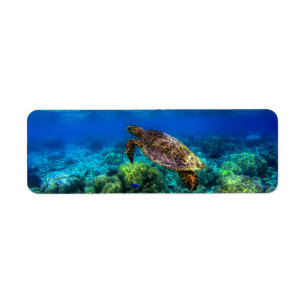 Étiquette Corail de la tortue tropicale sous-marine
