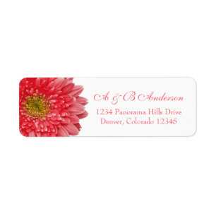 Étiquette Coral Gerbera Daisy Mariage Adresse de retour