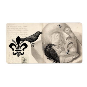 Étiquette Corneilles et cadavre
