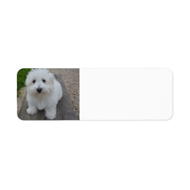 Étiquette coton sur banc (Devant)