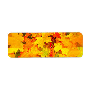 Étiquette Couleur des feuilles automnales Couleurs automnale
