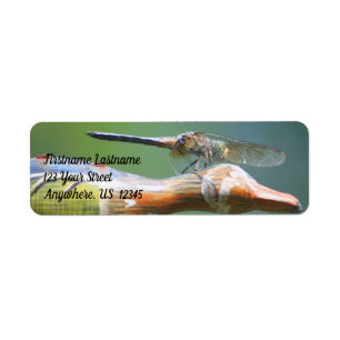 Étiquette Cute Dragonfly Co Pilot Nature Adresse
