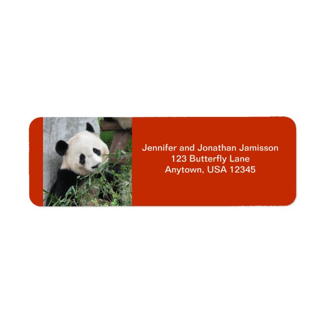 Étiquette Cute Giant Panda, Orange Adresse de retour (Devant)
