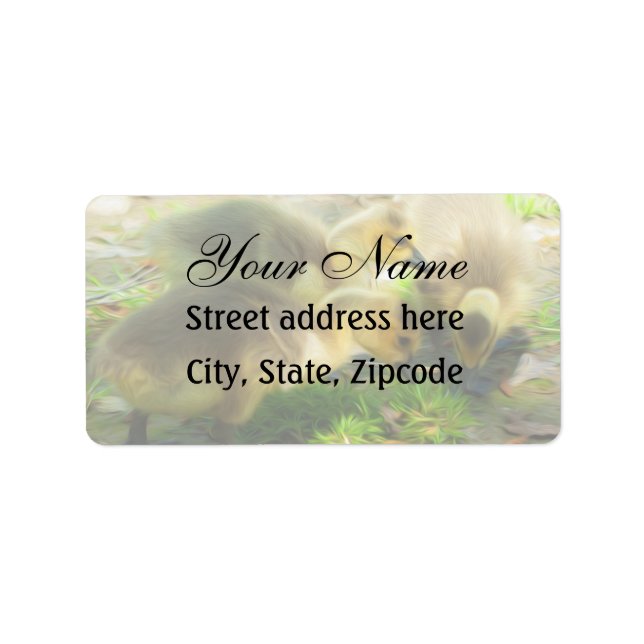 Étiquette Cute Gosling (Devant)