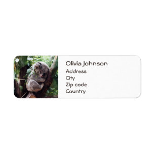 Étiquette Cute Koala Ours se relaxant dans un arbre