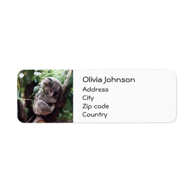 Étiquette Cute Koala Ours se relaxant dans un arbre (Devant)