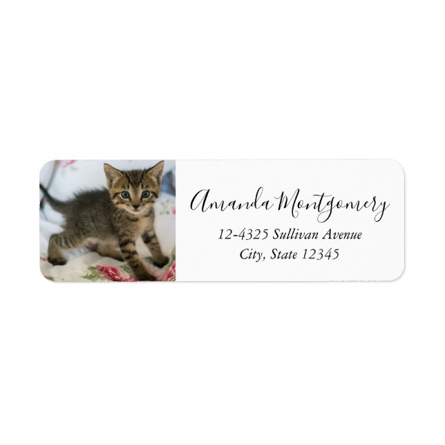 Étiquette Cute Tabby Kitten À L'Air Surpris (Devant)