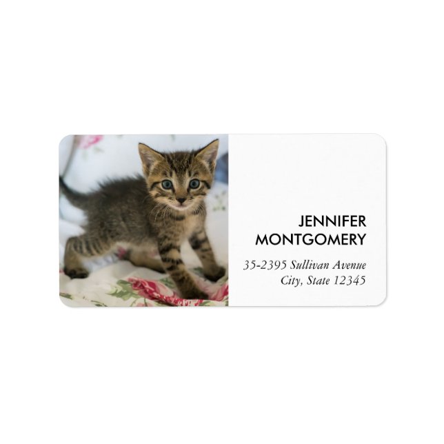 Étiquette Cute Tabby Kitten À L'Air Surpris (Devant)