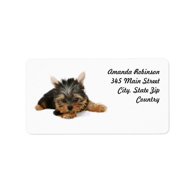 Étiquette Cute Yorkshire Terrier Puppy (Devant)