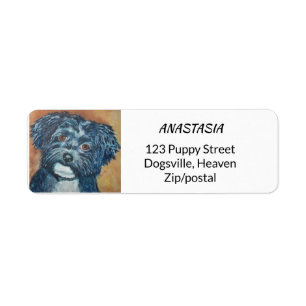 ÉTIQUETTE CUTIE HAVANESE NOIR