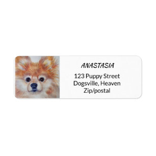 ÉTIQUETTE CUTIE POMERANIAN D'OR