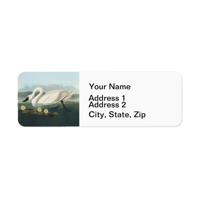 Étiquette cygne audubon cygnes d'eau blanche (Devant)