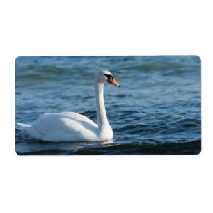 Étiquette Cygnus cygne blanc