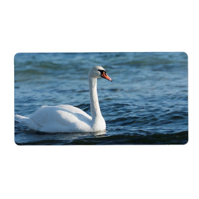 Étiquette Cygnus cygne blanc (Devant)