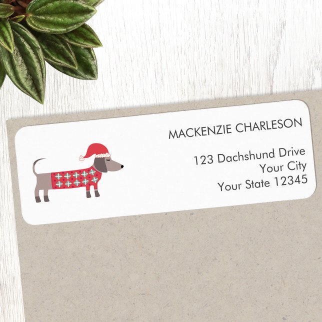 Étiquette Dachshund Chien en Casquette de Noël Adresse de re (Fun Dachshund Wiener Sausage Dog in a Christmas hat personalized return address label)