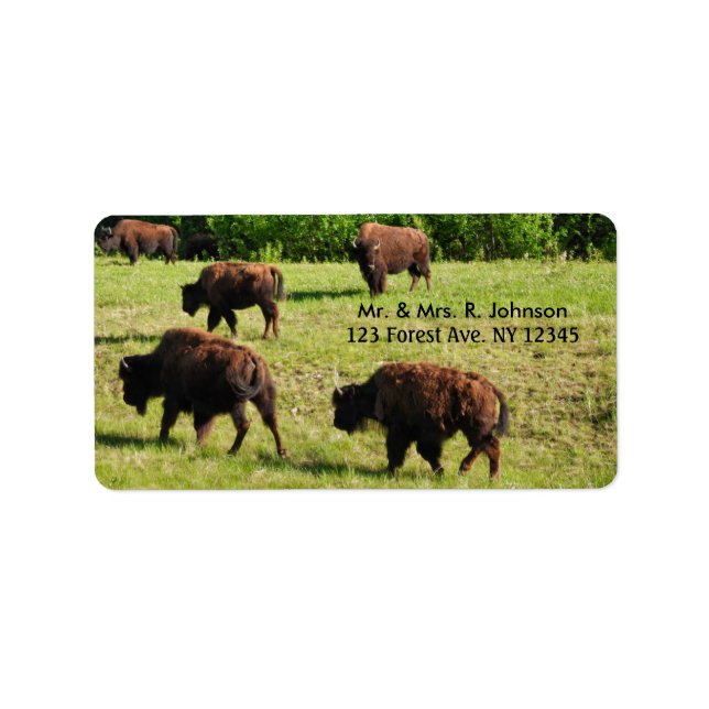 Étiquette d'adresse de Bison en liberté (Devant)