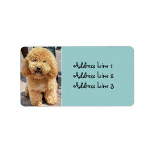 Étiquette d'adresse de photo de chien brun Fluffy