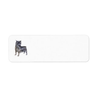 Étiquette d'adresse de retour Affenpinscher