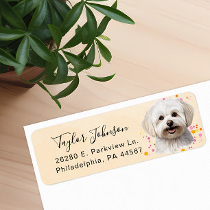 Étiquette d'adresse de retour de chien maltais
