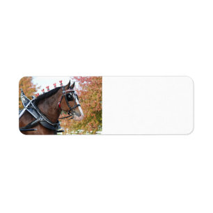 Étiquette d'adresse de retour de Clydesdale
