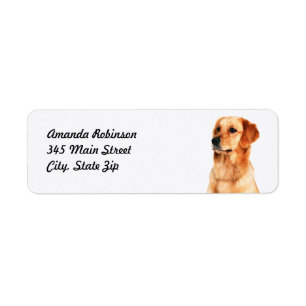 Étiquette d'adresse de retour Golden Retriever