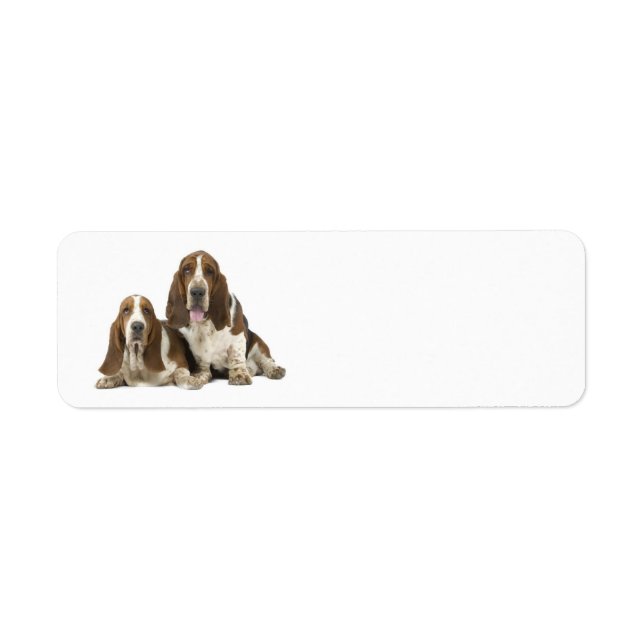 Étiquette d'adresse de retour Love Basset Hounds (Devant)