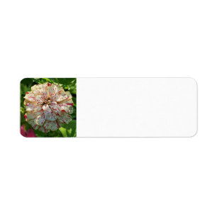 Étiquette d'adresse de retour Zinnia