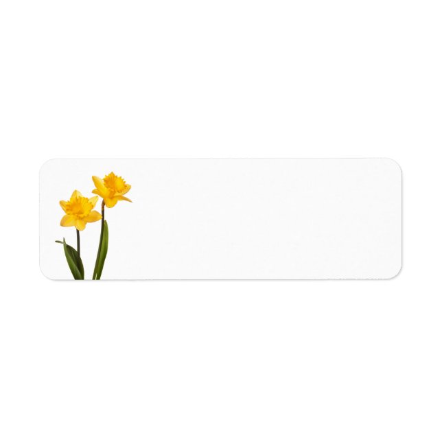Étiquette Daffodiques jaunes sur blanc - Lavette de jonquill (Devant)